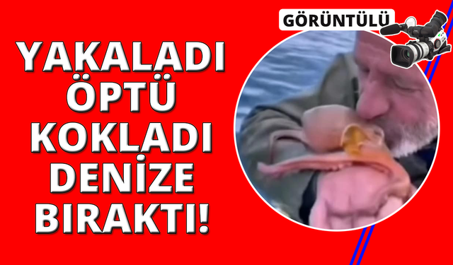 Yakaladığı ahtapotu öpüp sevdi, denize bıraktı