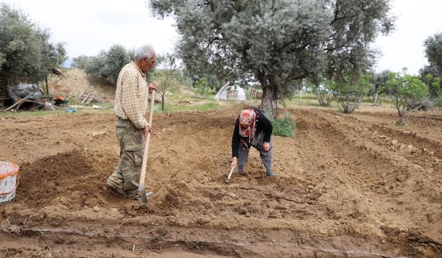 Mutluluğu toprakta buldular
