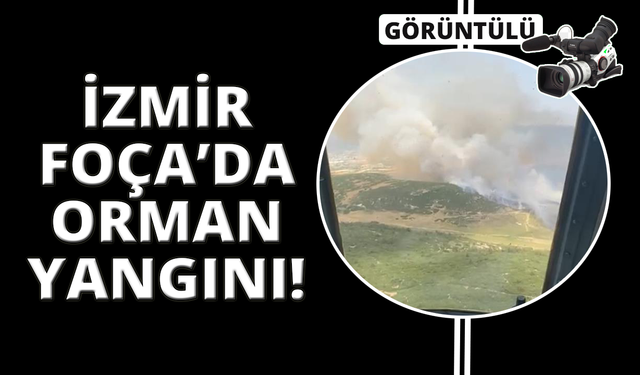 İzmir Foça'da tarım arazisinde başlayan yangın ormana sıçradı