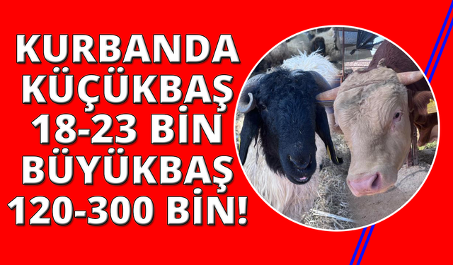 İzmir'de canlı hayvan pazarlarında kurban hareketliliği