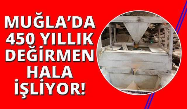 Muğla'daki değirmen asırlardır yöre halkına hizmet veriyor