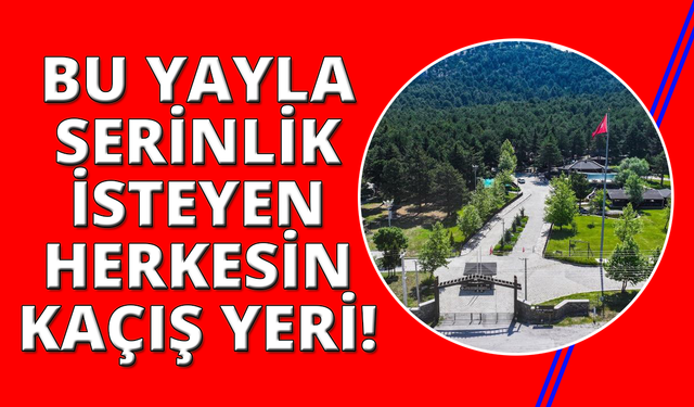 Kefe Yaylası doğa tutkunlarını bekliyor