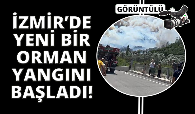 İzmir Menderes'te orman yangını