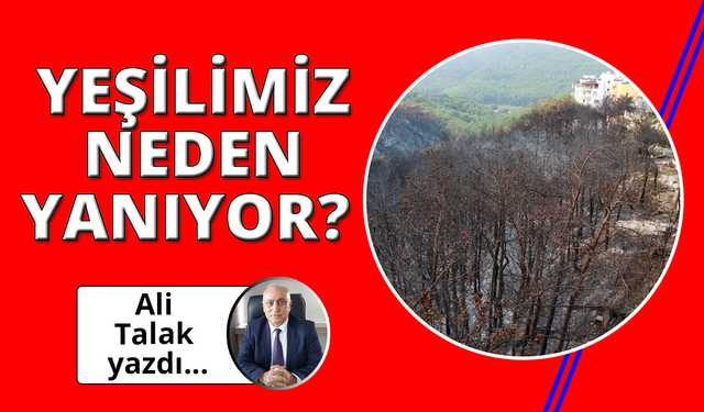 Ormanlarımız Neden Yanıyor, Yakılıyor?