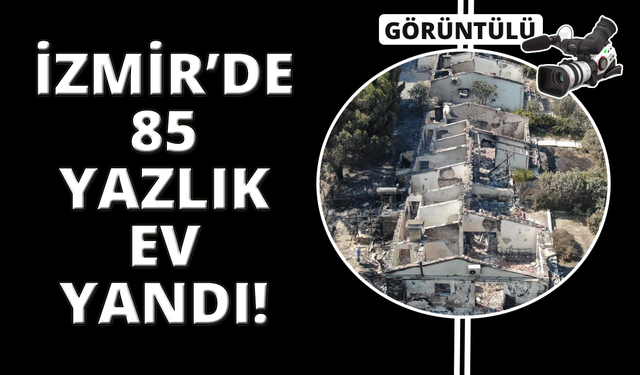 İzmir’deki yangında 85 yazlık ev küle döndü