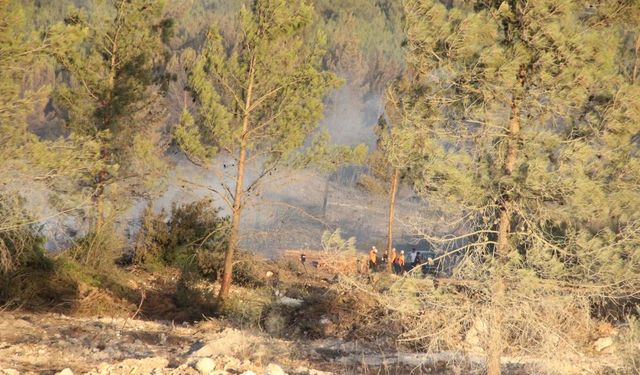 Buca'daki orman yangınıyla ilgili 2 şüpheli gözaltına alındı