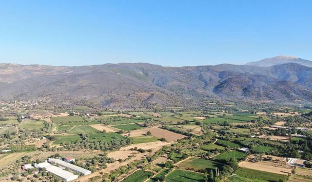 Ödemiş'in dağları siyaha büründü