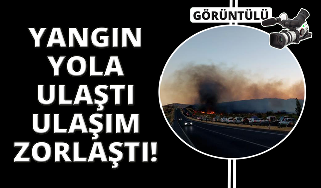 Aliağa'daki yangın Çanakkale-İzmir yoluna ulaştı, sürücüler zor anlar yaşadı
