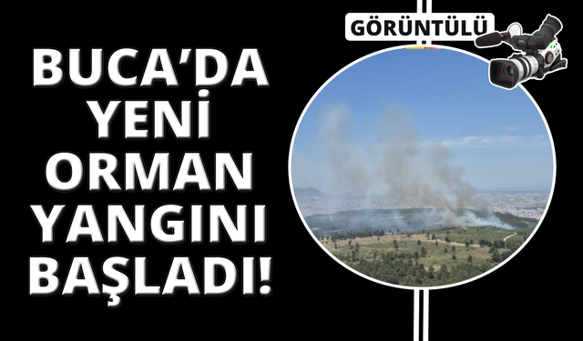 İzmir'de yeni orman yangını