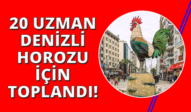 20 ilden uzmanlar Denizli Horozu'nun geleceği için buluştu