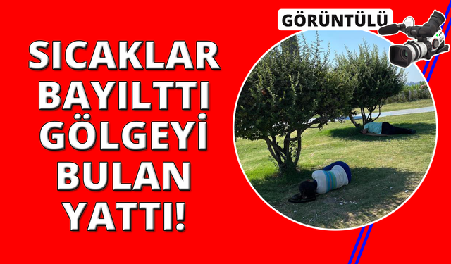 İzmir’de sıcak hava bunalttı, vatandaşlar ağaç gölgelerine kaçtı