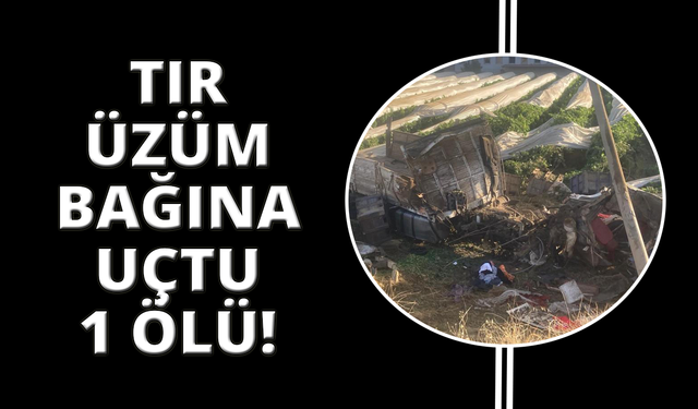 Manisa'da üzüm bağına uçan tırın şoförü hayatını kaybetti