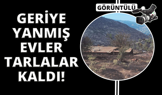 Manisa'da yangından geriye küle dönen evler ve tarlalar kaldı