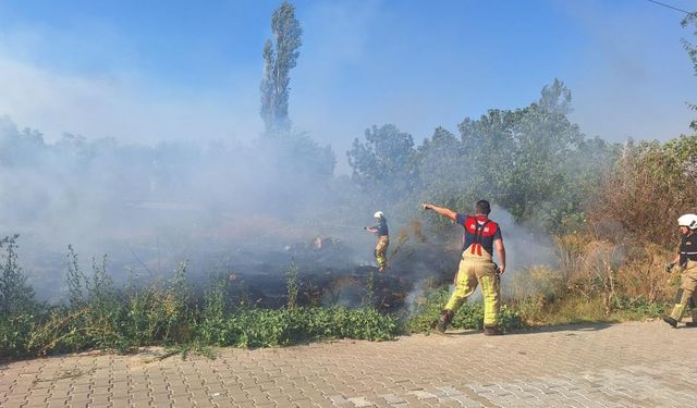 Selçuk'ta sazlık alanda yangın paniği
