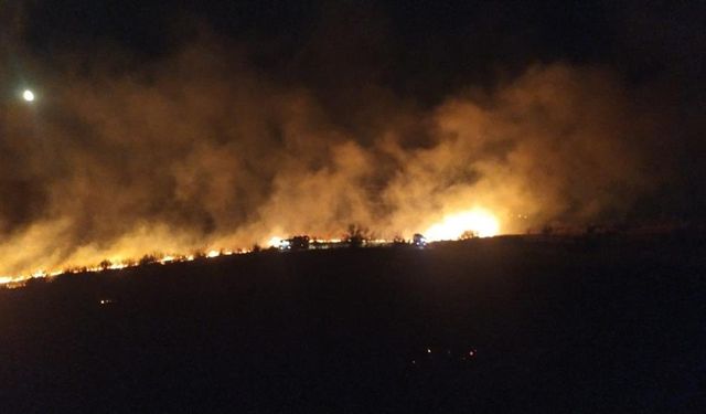 Aliağa’da otluk alanda çıkan yangın söndürüldü