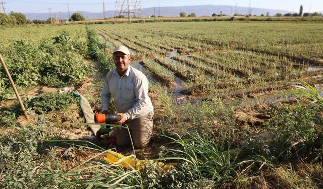 Aydın'da su kıtlığı çiftçilerin mesai saatlerini değiştirdi