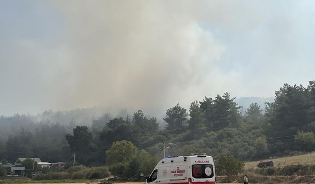 İzmir'deki orman yangınıyla ilgili 3 gözaltı