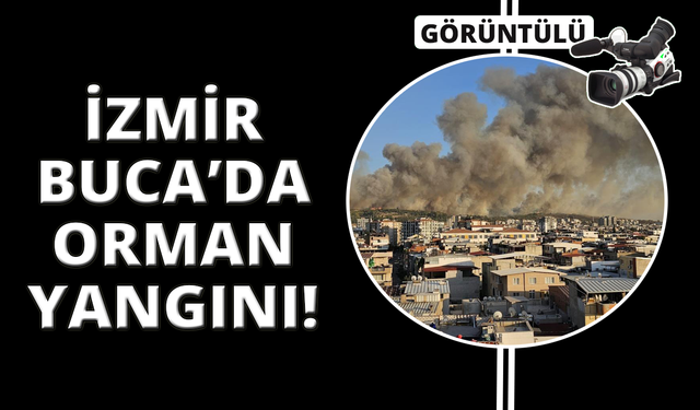 İzmir Buca'da orman yangını