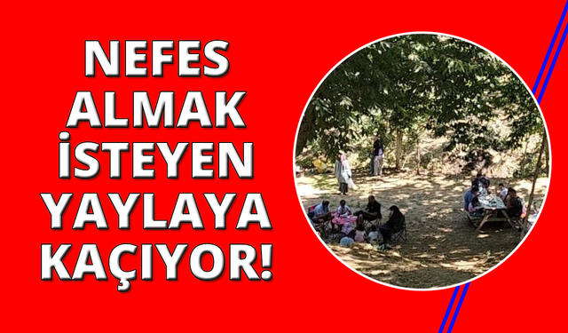 Aydın’da yaylalar cazibe merkezi oldu