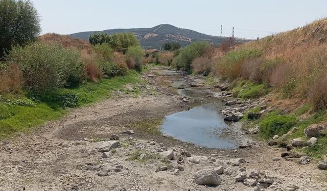 Bakırçay Ovası'nı kuraklık vurdu