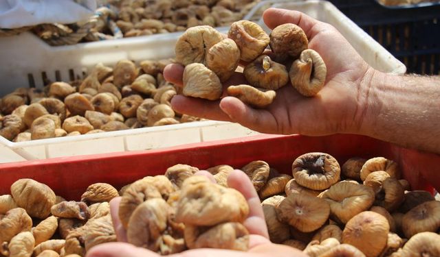 TARİŞ alımları erken kapattı, üretici tüccara tepki gösterdi