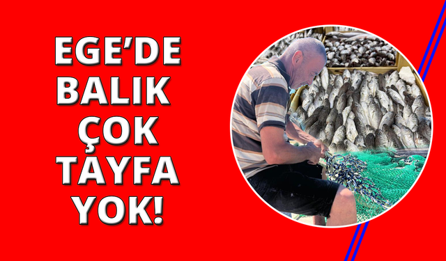Ege'de fırtınalı mesai başladı: Balık bol, tayfa yok
