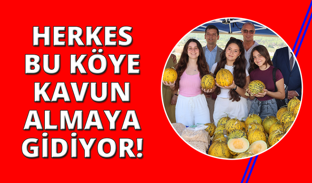 İzmir'de kavunuyla ünlü köyde festival var