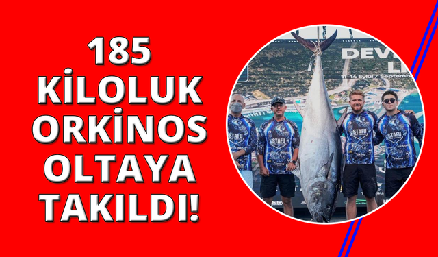 İzmir'de 2.5 saat mücadeleyle 185 kiloluk dev orkinos yakalandı