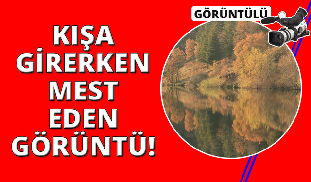 Sonbahar masalsı görüntüler ortaya çıkardı