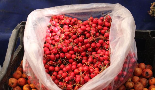 Sonbaharın kırmızısı kızılcık pazar tezgahlarında