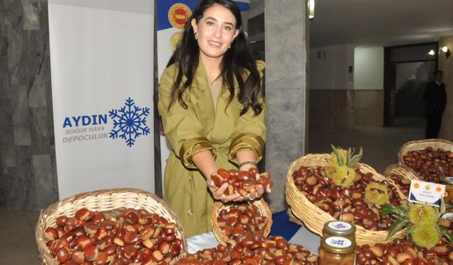 Aydın'da sezonun ilk kestanesi kilosu 550 TL'den alındı