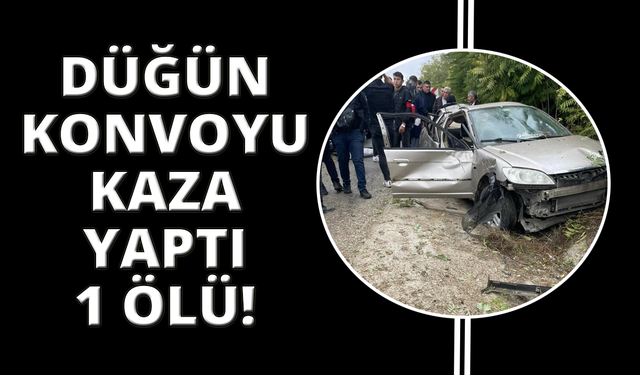 Denizli'de düğün konvoyunda kaza