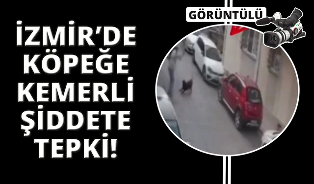 İzmir'de köpeğe kemerli şiddet