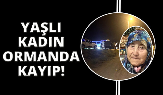 Kütahya'da 87 yaşındaki kadın ormanda kayboldu