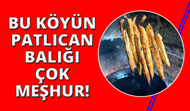 Bu köyde patlıcan et kadar kıymetli