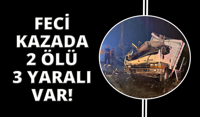Manisa'da kontrolden çıkan kamyonet dehşet saçtı: 2 ölü 3 yaralı