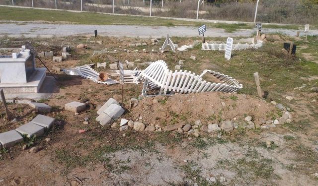 Aydın'da insanlık dışı olay!