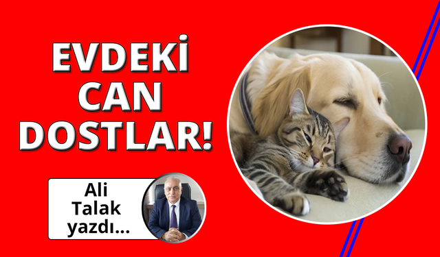 Evdeki Can Dostlarımız!