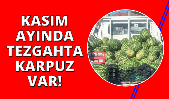 Kasım ayı geldi, karpuz tezgahtan inmedi