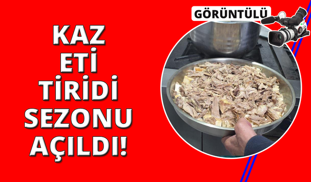 Kütahya'da 'Kaz eti tiridi' sezonu açıldı