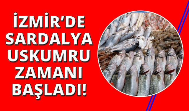 Foça Balık Hali'nde kış sezonu:"Sardalya ve uskumru zamanı"