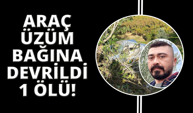 Manisa'da araç bağa devrildi can kaybı var