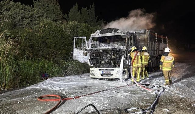 İzmir'de kömür yüklü tır alev aldı