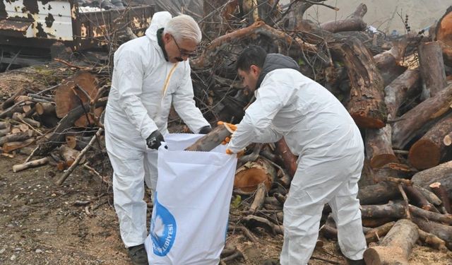 Budanan ağaç dalları ihtiyaç sahiplerini ısıtıyor