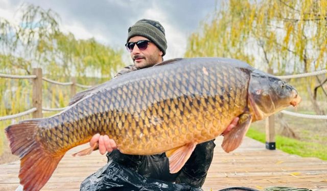 Yakaladıkları dev gibi sazan balığını suya geri bıraktılar