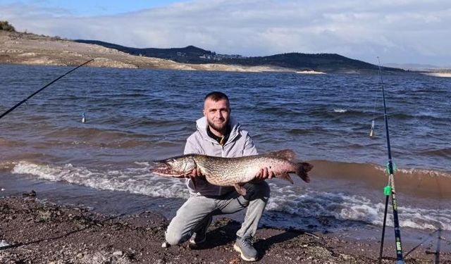 Sındırgı'da dev turna balığı yakalandı