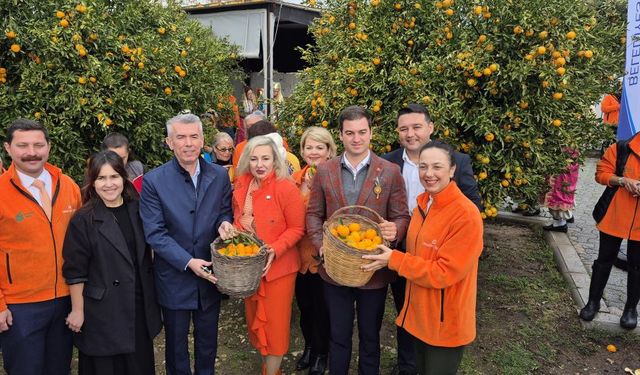 Mandalin Festivali’ne yoğun ilgi