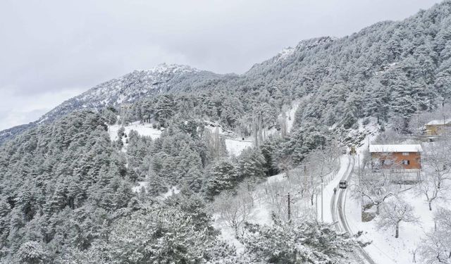 Aydın Valiliği'nden don ve buzlanma uyarısı