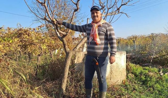 Çiftçinin mesaisi kışın da sürüyor