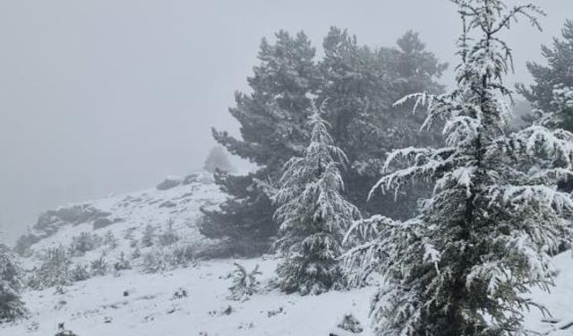 Muğla'da Göktepe beyaza büründü